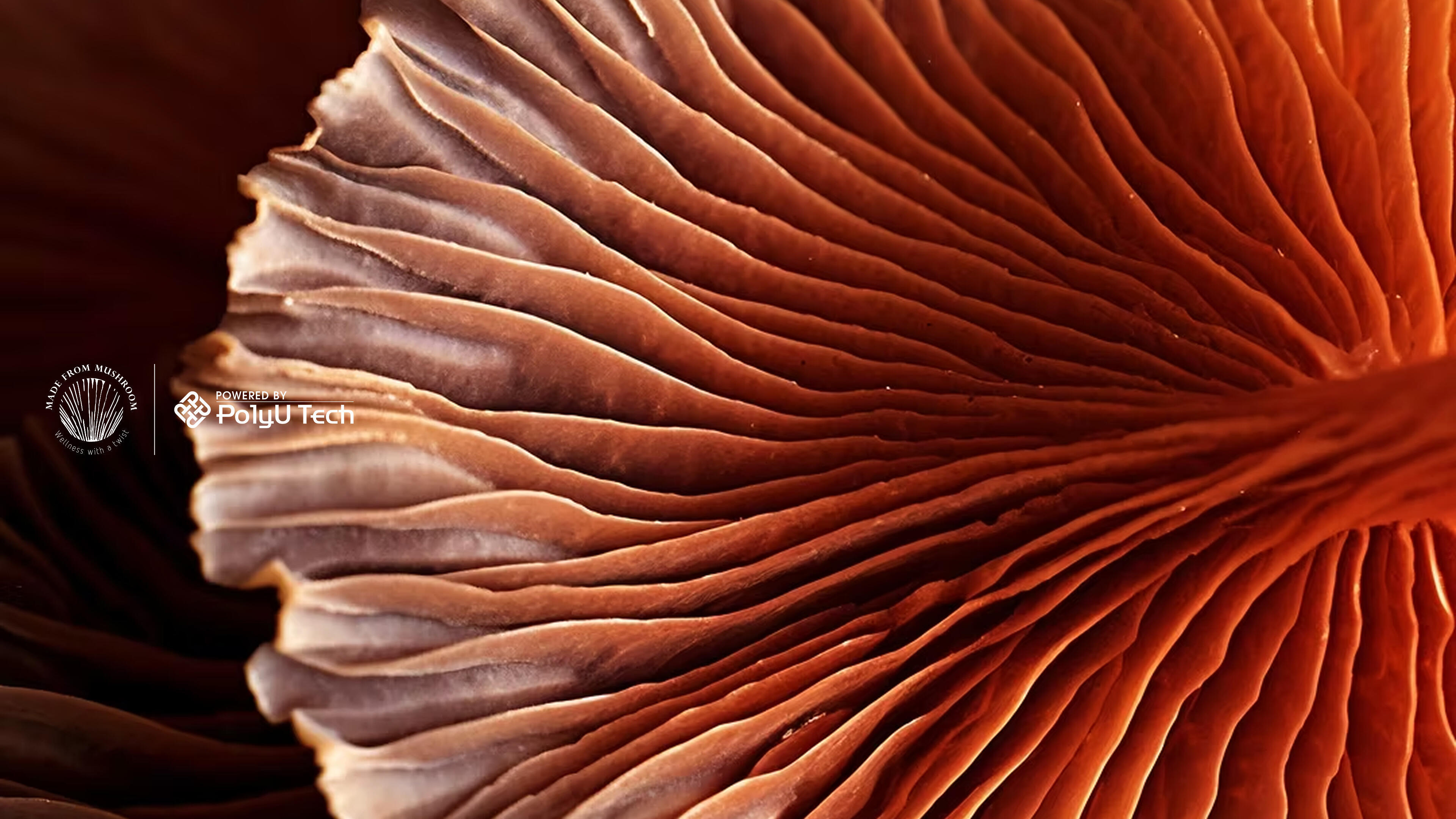 Made From Mushroom