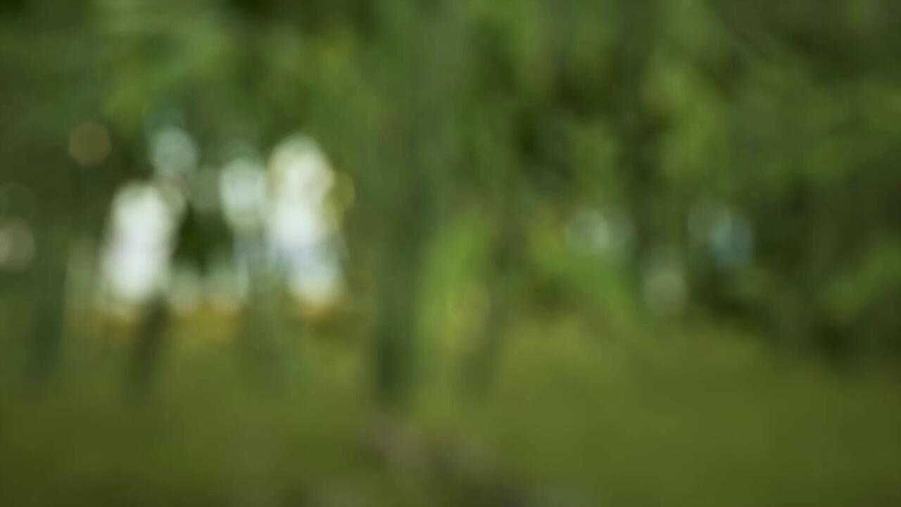 " Ấtỵ 2025 "